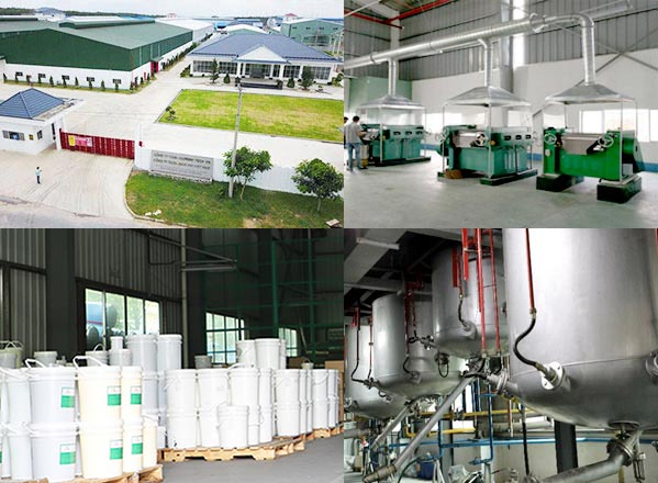 生產(chǎn)實(shí)力 生產(chǎn)實(shí)力